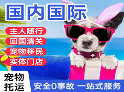 肥东白龙空运代理国际宠物托运 【国